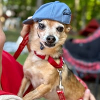 Marley - Photo 2