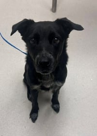 Bella - Photo 3