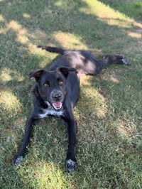 Bella - Photo 4