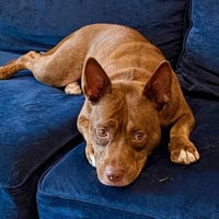 Annie Lou - Photo 3