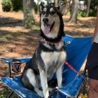 Pita - Photo 3