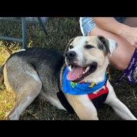 Max2 - Photo 2