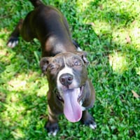 Marley2 - Photo 4