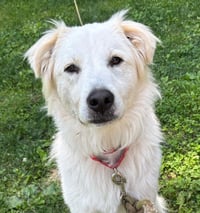 Riley - Photo 3