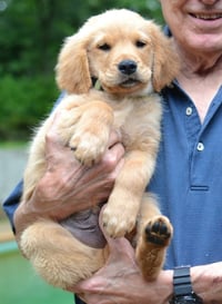 Scout - Photo 4
