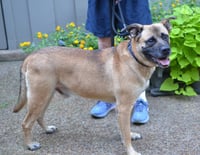 Reggie - Photo 4