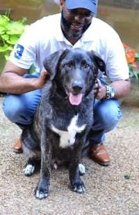 Smokey - Photo 3