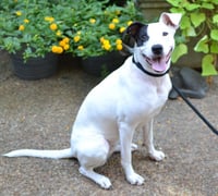 Stella - Photo 3