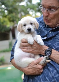 Honey - Photo 4