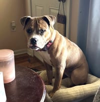 Winnie - Photo 4