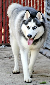 Azul - Photo 5