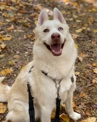 Maverick - Photo 5