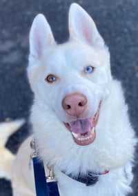 Maverick - Photo 8