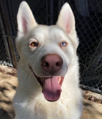 Maverick - Photo 6
