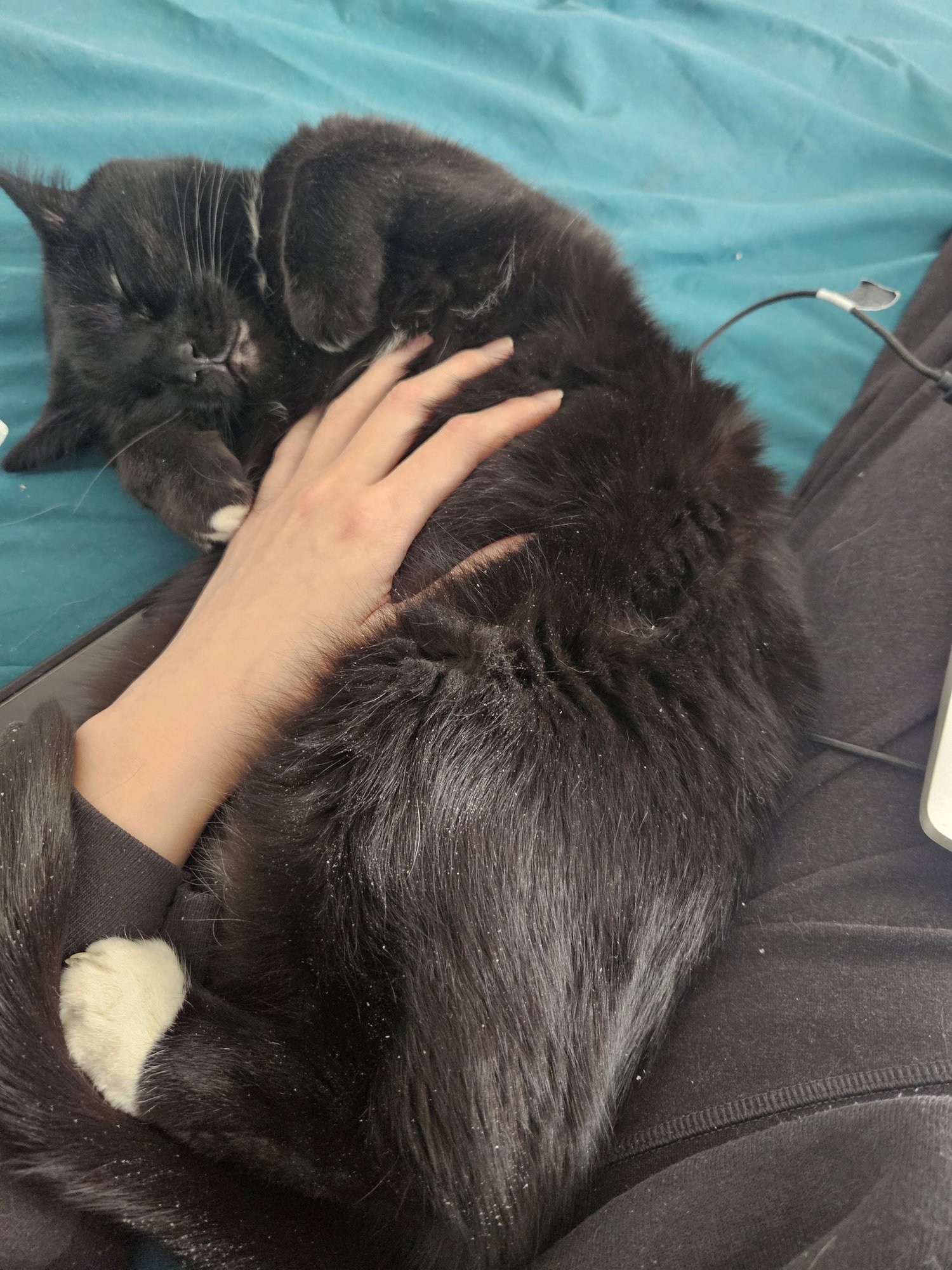 Cinder (Happy Single) - Photo 3