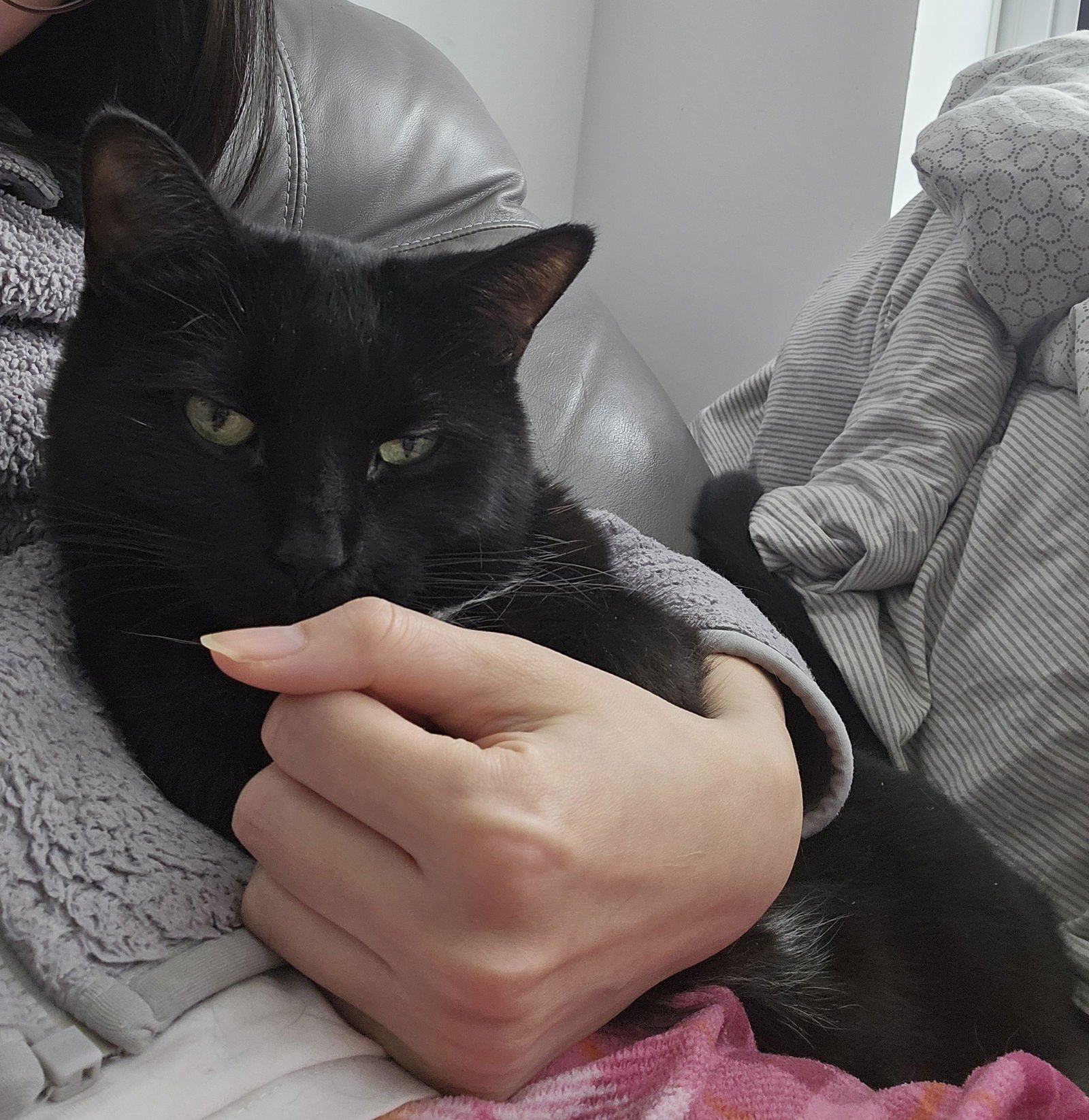 Cinder (Happy Single) - Photo 4