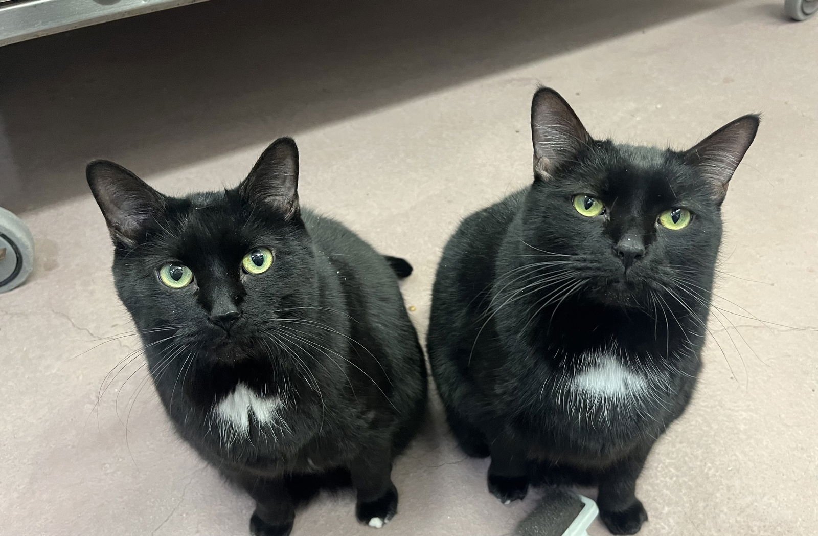 Cinder (Happy Single) - Photo 5