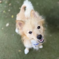 Georgie - Photo 3