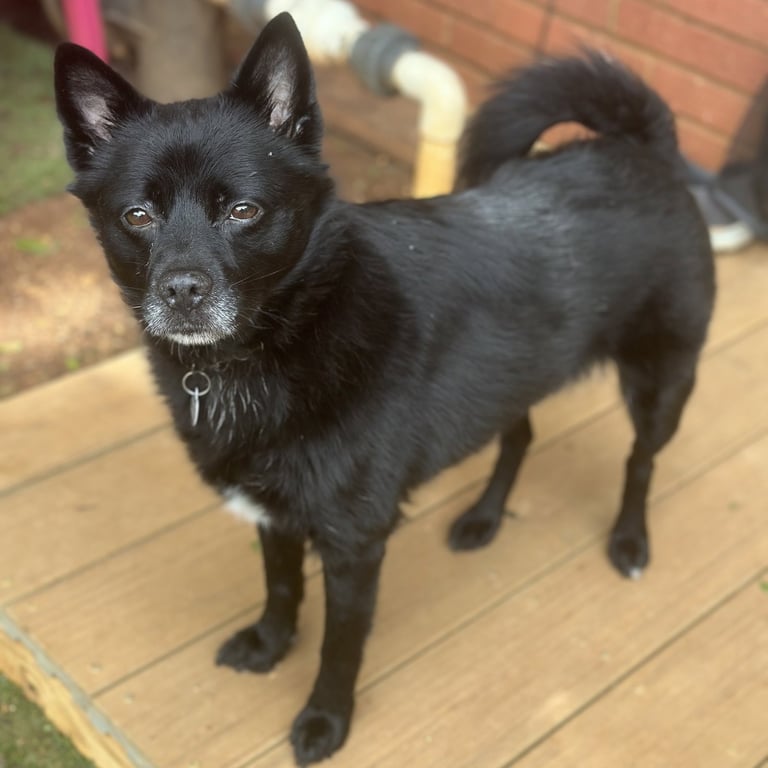 Fiona Image