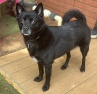 Fiona - Photo 3