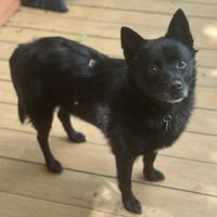 Fiona - Photo 4