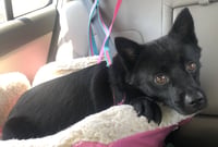 Fiona - Photo 7