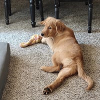 Remy - Photo 3
