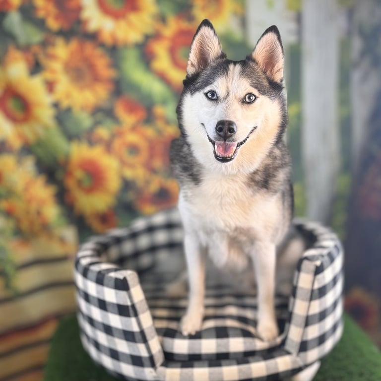 Cooper Image