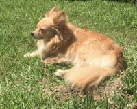 Maggie - Photo 11