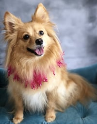Maggie - Photo 4