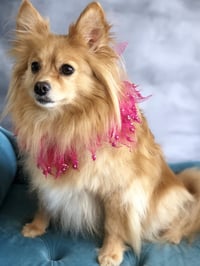 Maggie - Photo 5