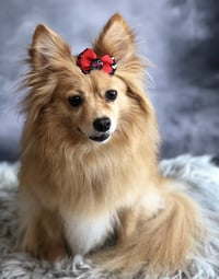 Maggie - Photo 6