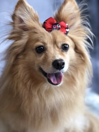 Maggie - Photo 7