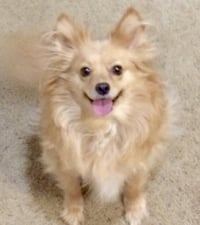 Maggie - Photo 9