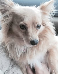Maggie - Photo 10