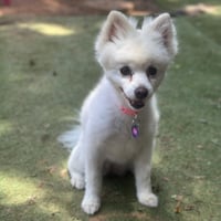 CoCo - Photo 3