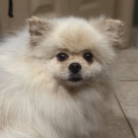 Felicity - Photo 2