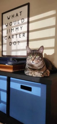 Marley - Photo 2