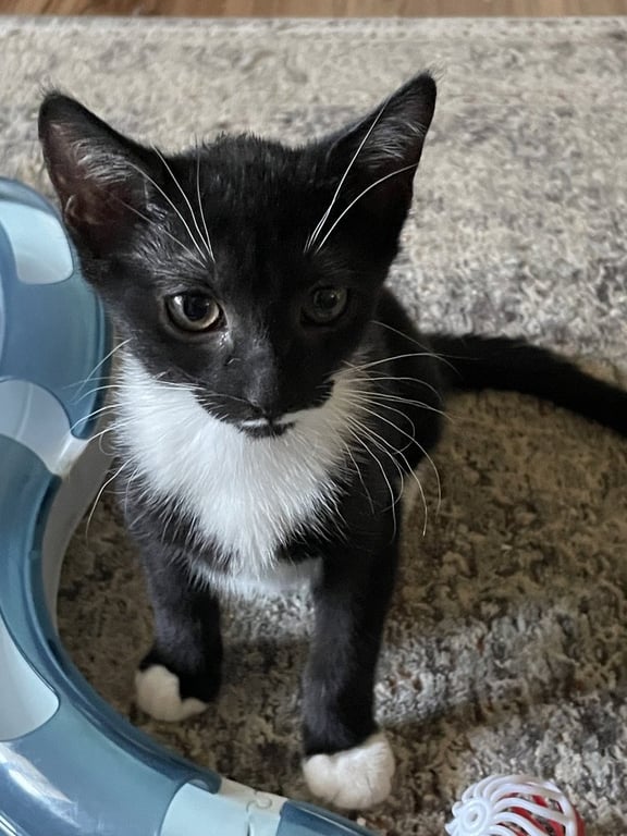 Smudge Image
