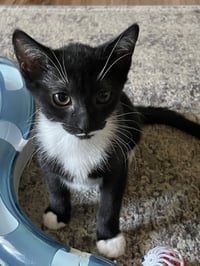 Smudge - Photo 1