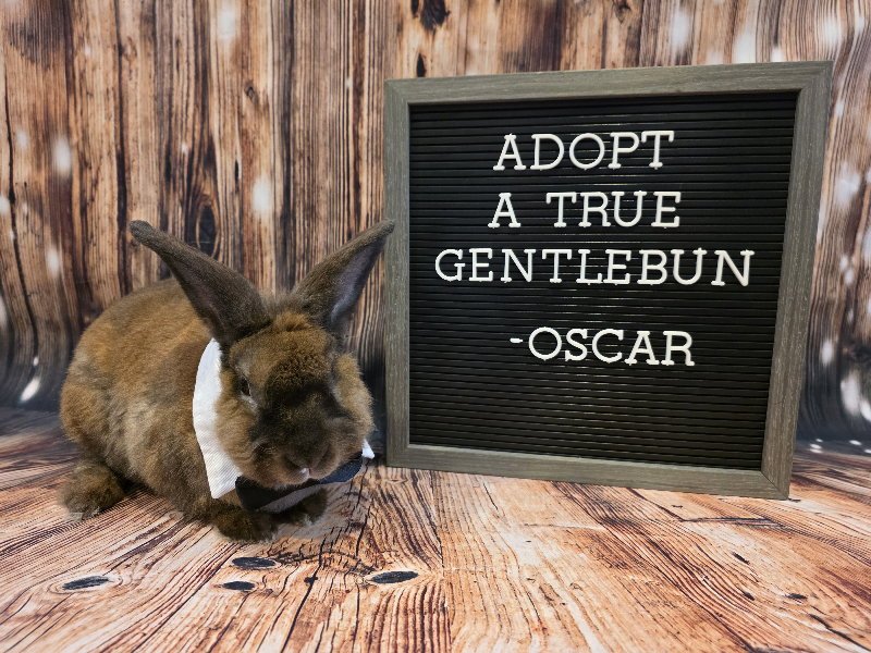 Oscar Image
