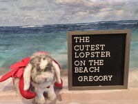 Gregory - Photo 1