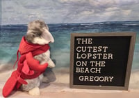 Gregory - Photo 2