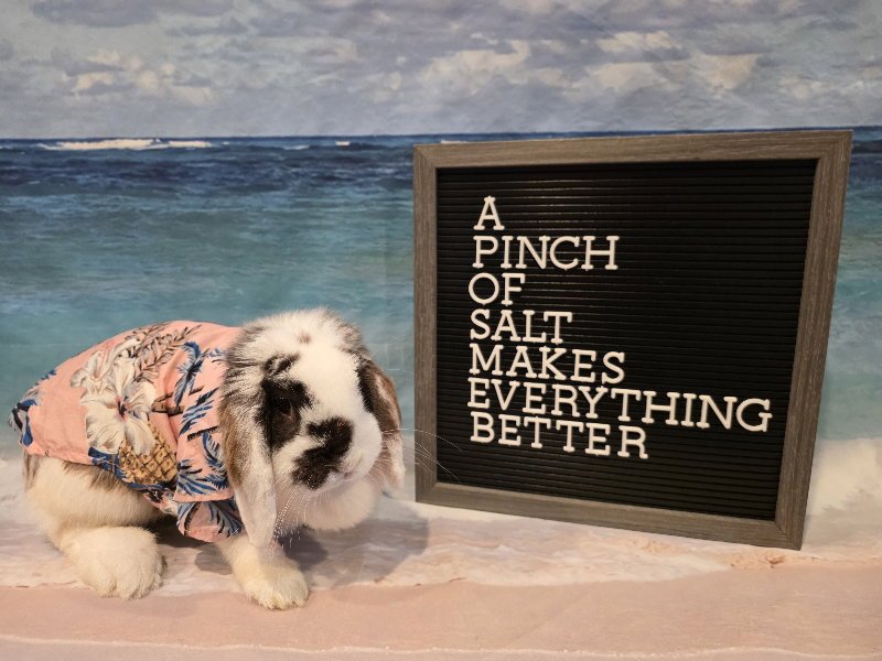 Salt Image