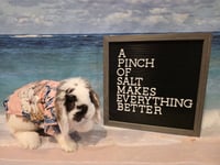 Salt - Photo 1