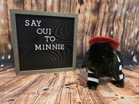 Minnie - Photo 1