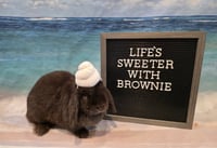 Brownie - Photo 2
