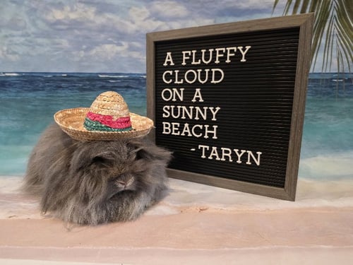 TARYN