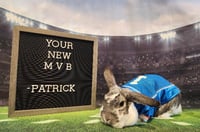 Patrick - Photo 2