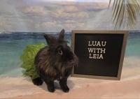 Leia - Photo 3